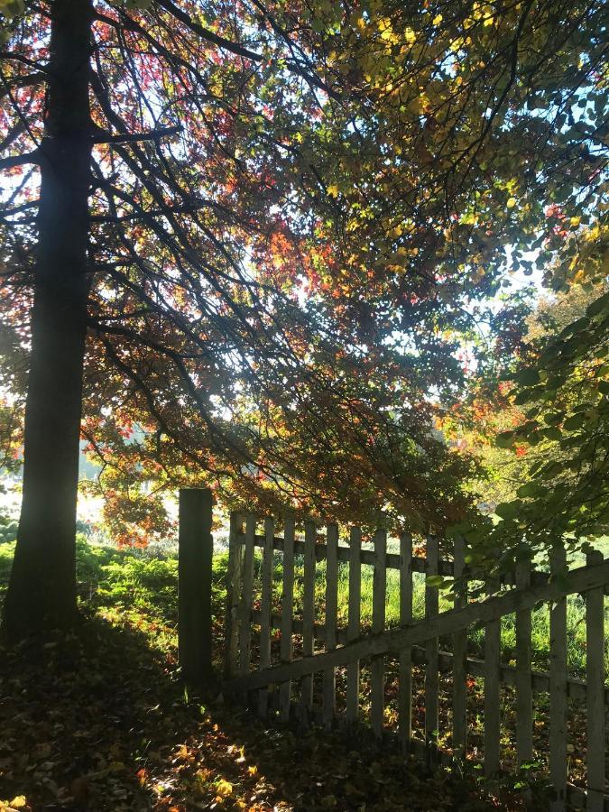 Chambre D'Hotes La Ferme Du Pre-Martin La Genevraie エクステリア 写真